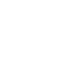 DUMUN27 emblem